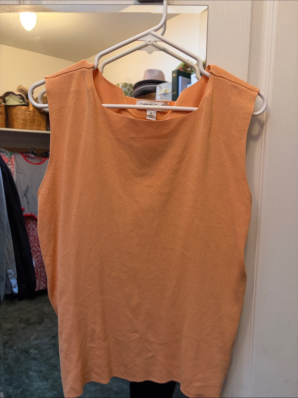 Coldwater Creek Sleeveless Tank Top in Peach
